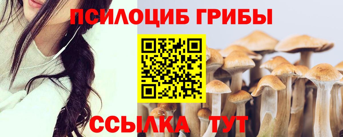 Псилоцибиновые грибы прущие грибы  где купить наркоту  Истра  Псилоцибиновые грибы GOLDEN TEACHER  Вход с VPN 